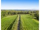 136 Talga Road, Lovedale NSW 2325
