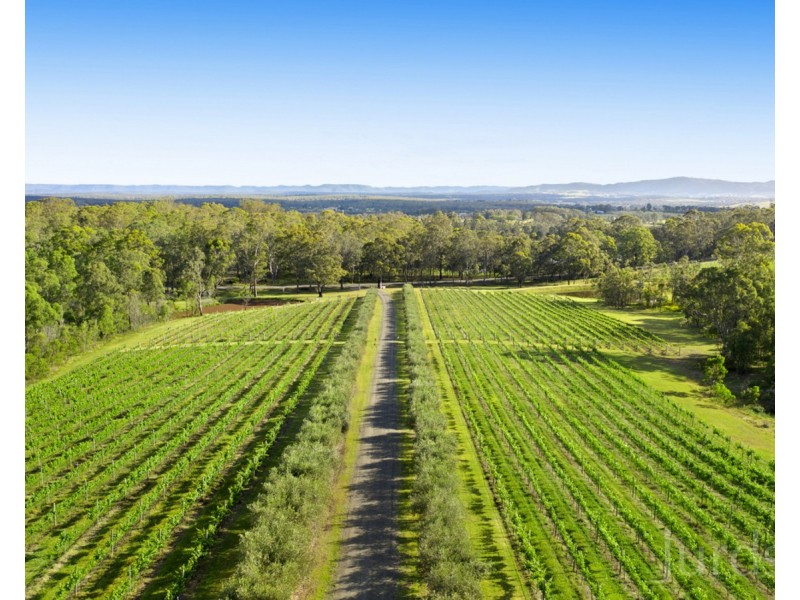 136 Talga Road, Lovedale NSW 2325