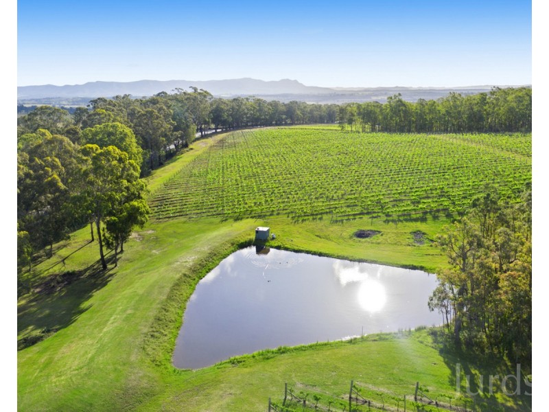 136 Talga Road, Lovedale NSW 2325