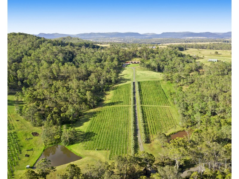 136 Talga Road, Lovedale NSW 2325