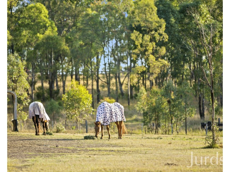 3 The Ballabourneen, Lovedale NSW 2325