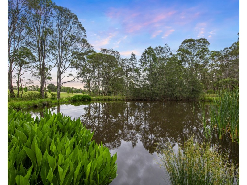 Lot 42 24B The Ballabourneen, Lovedale NSW 2325