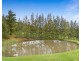 453 Talga Road, Lovedale NSW 2325