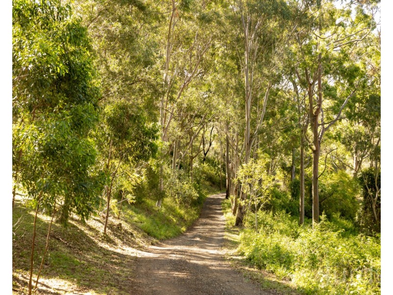 131 Rodney Road, Mount Vincent NSW 2323