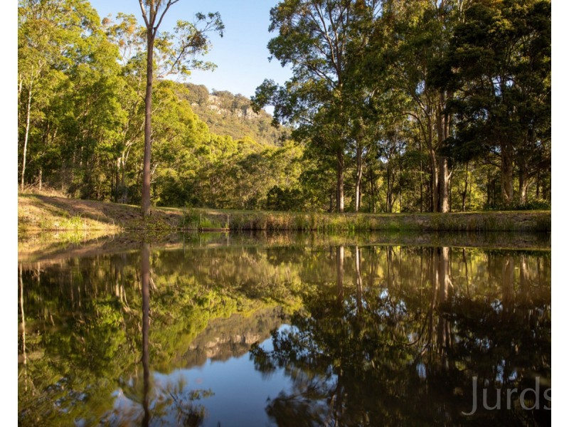 131 Rodney Road, Mount Vincent NSW 2323