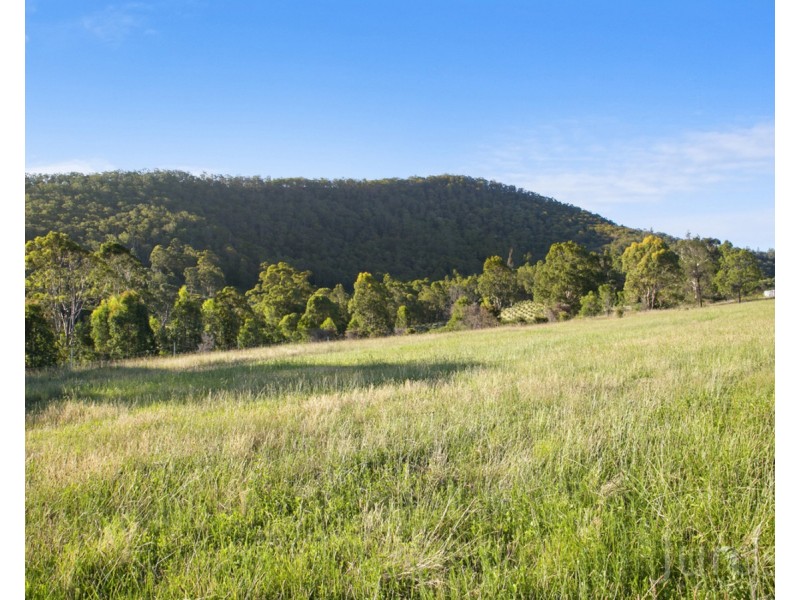 42 Lewis Lane, Millfield NSW 2325