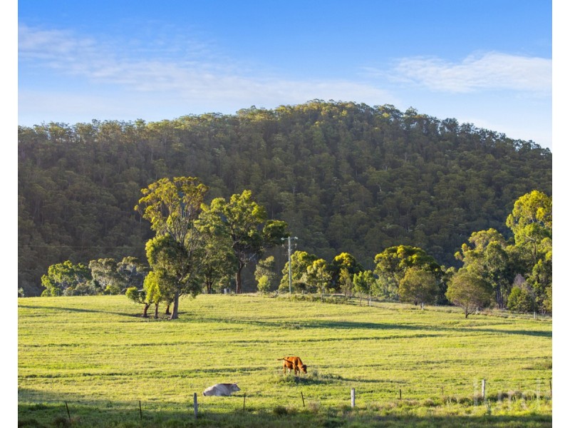 42 Lewis Lane, Millfield NSW 2325