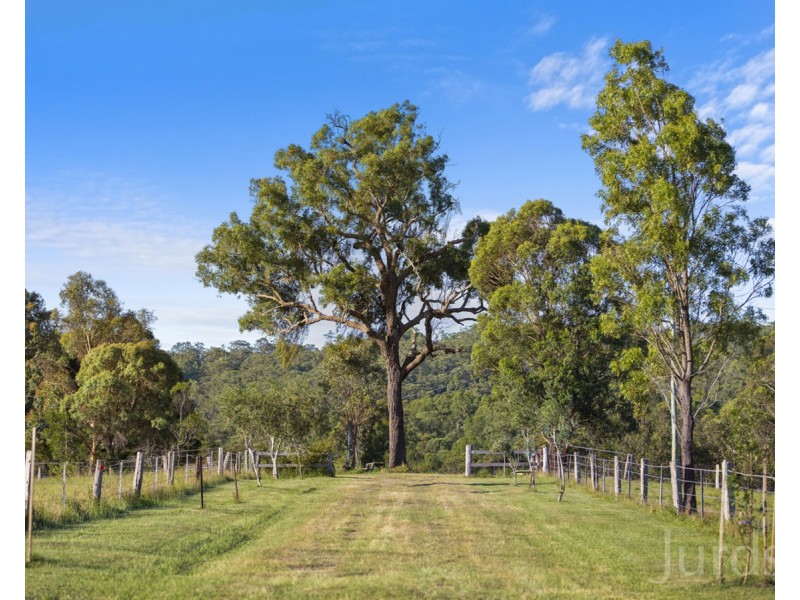 42 Lewis Lane, Millfield NSW 2325