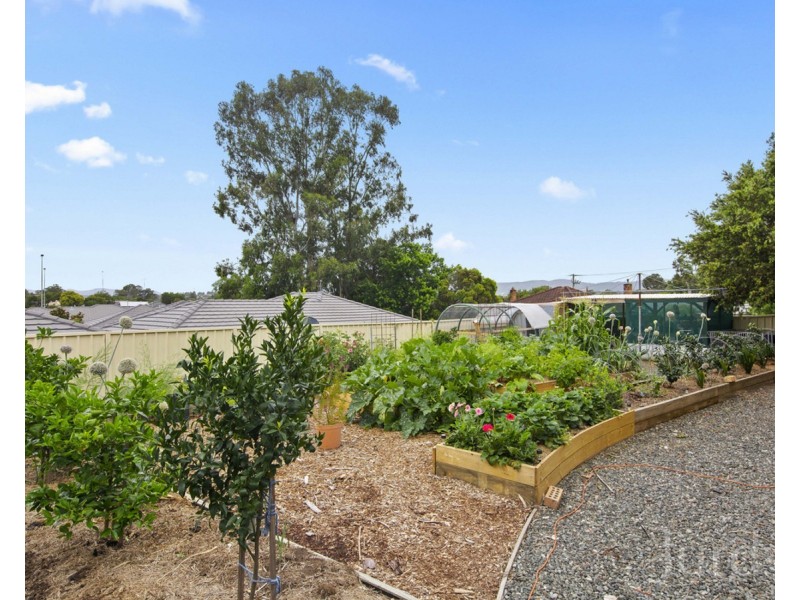 51 View Street, Cessnock NSW 2325