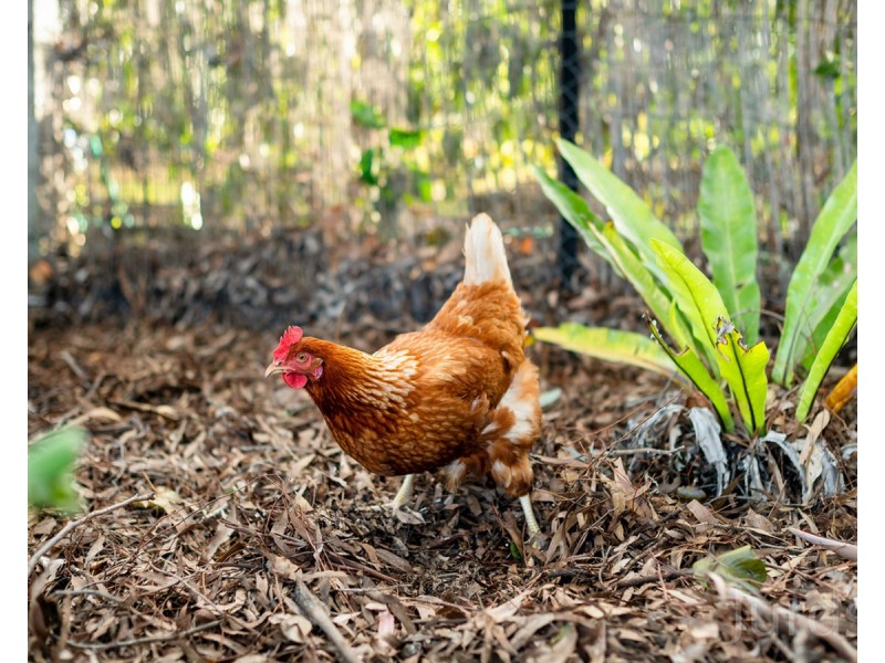 86 O’Connors Road, Nulkaba NSW 2325