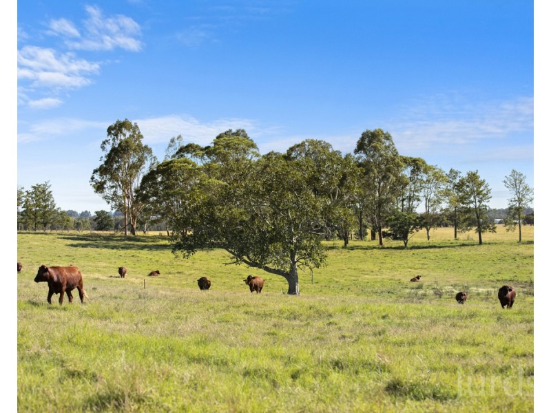 199 Anambah Road, Anambah NSW 2320