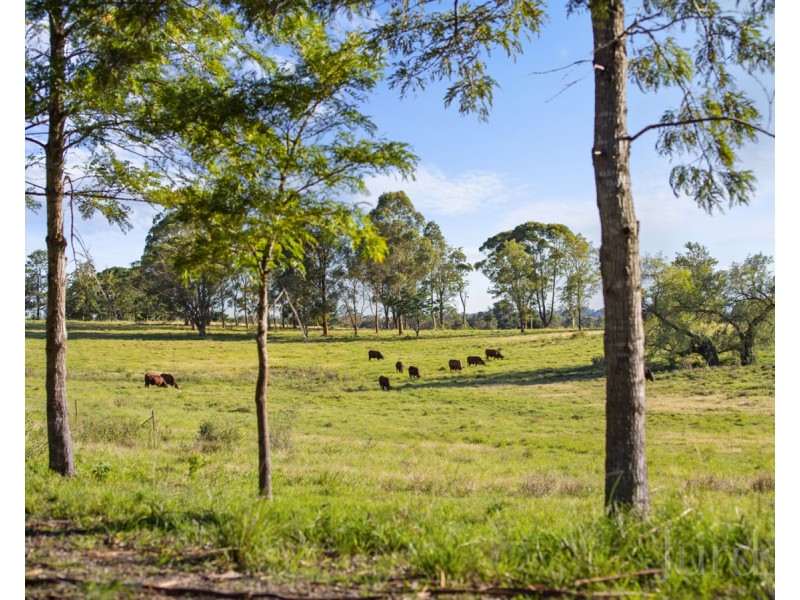 199 Anambah Road, Anambah NSW 2320