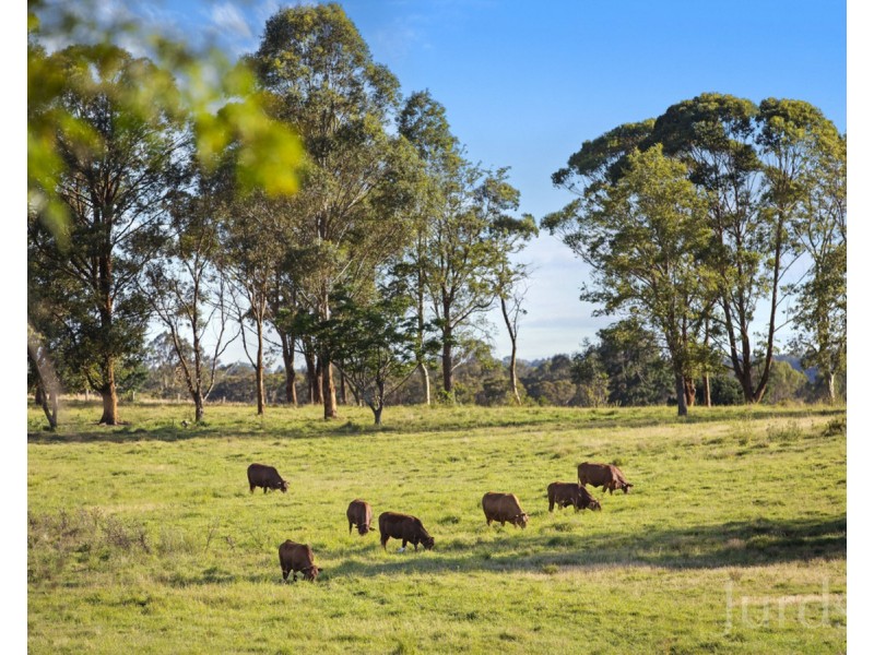 199 Anambah Road, Anambah NSW 2320