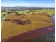 199 Anambah Road, Anambah NSW 2320