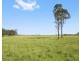 Lot 5 Roughit Lane, Sedgefield NSW 2330
