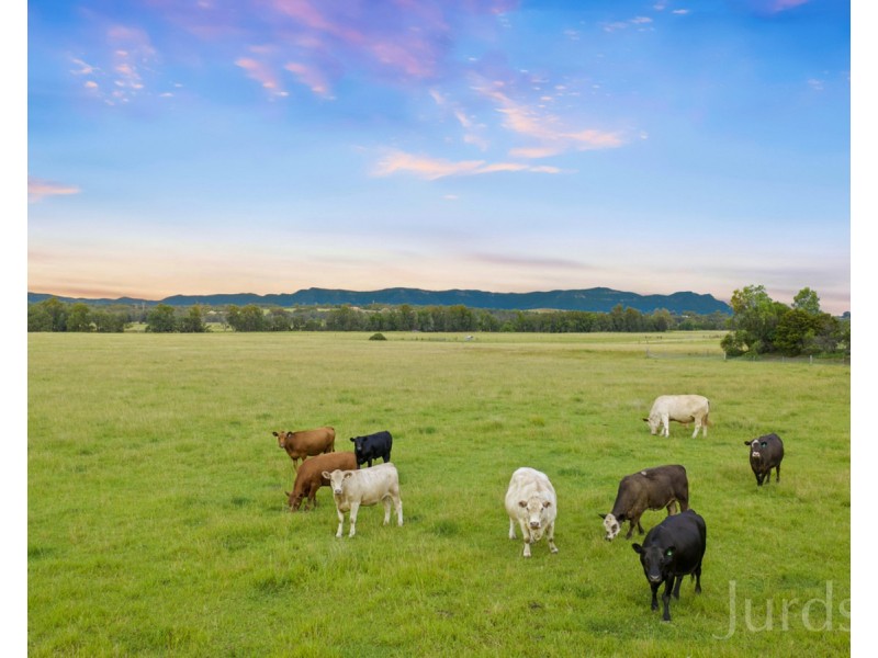 437 Talga Road, Lovedale NSW 2325