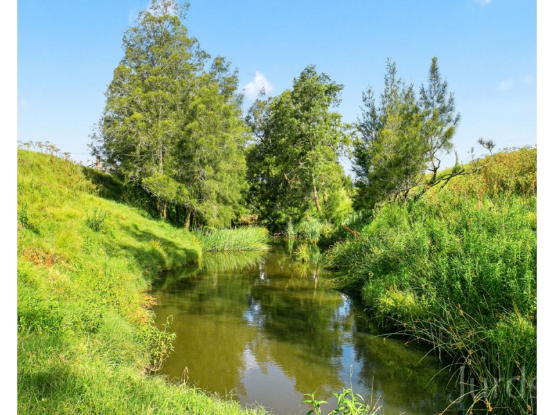 437 Talga Road, Lovedale NSW 2325