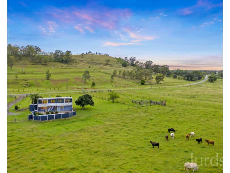 437 Talga Road, Lovedale NSW 2325