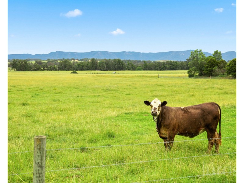 437 Talga Road, Lovedale NSW 2325