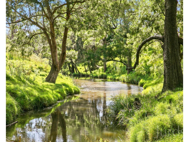 437 Talga Road, Lovedale NSW 2325