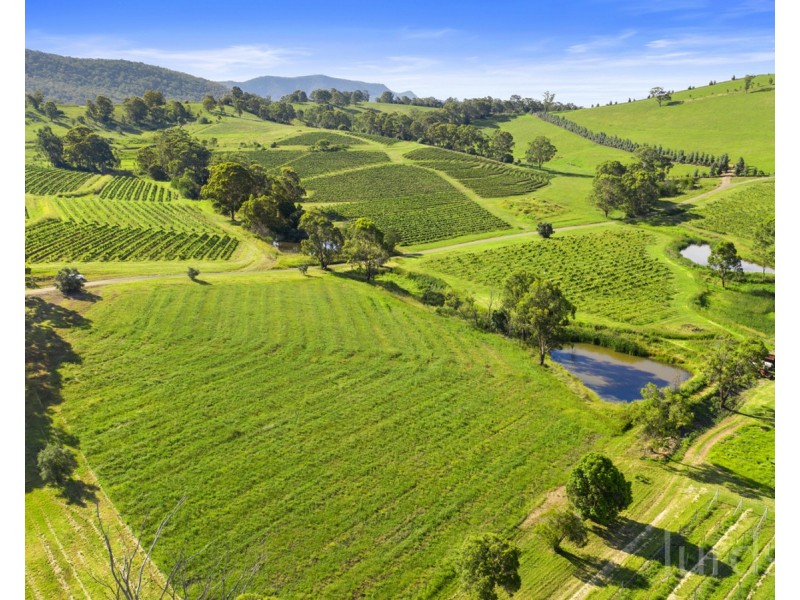 593 Mount View Road, Mount View NSW 2325