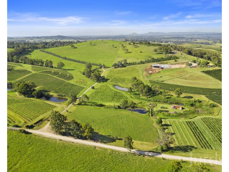 593 Mount View Road, Mount View NSW 2325