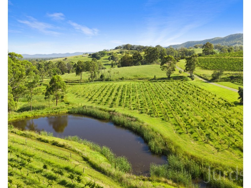 593 Mount View Road, Mount View NSW 2325