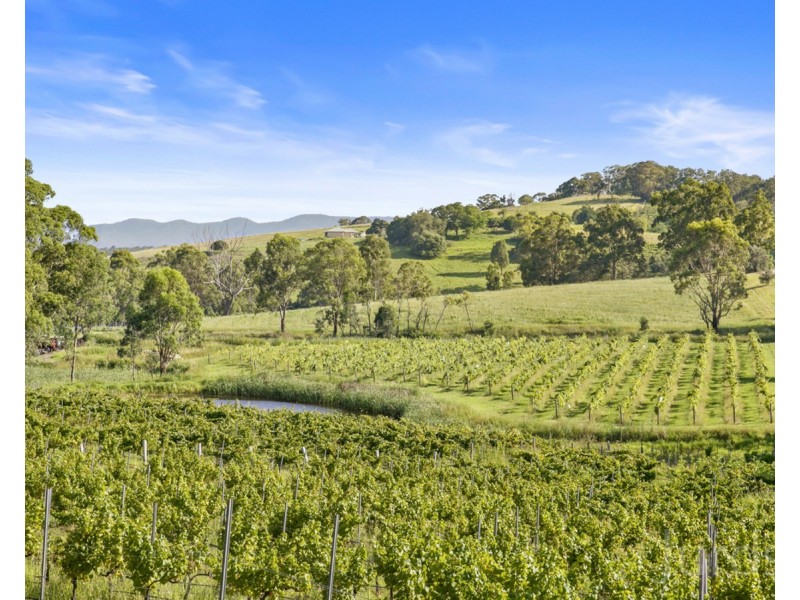 593 Mount View Road, Mount View NSW 2325