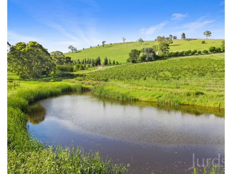 593 Mount View Road, Mount View NSW 2325