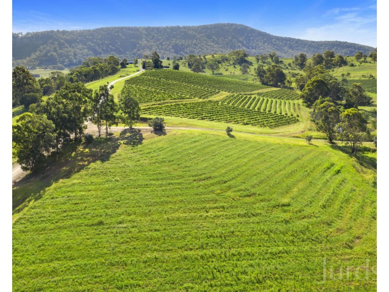 593 Mount View Road, Mount View NSW 2325