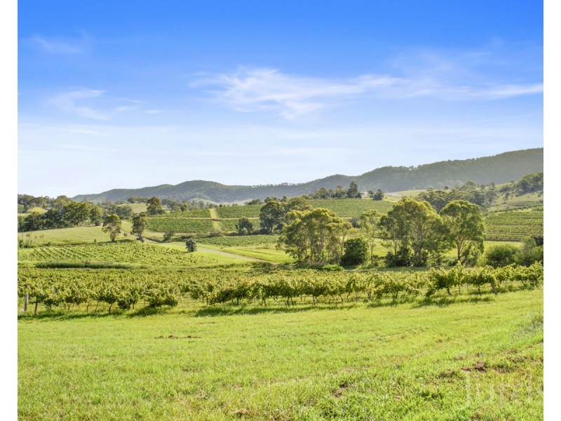 593 Mount View Road, Mount View NSW 2325