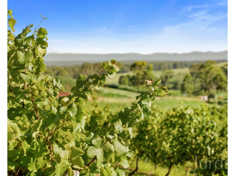 593 Mount View Road, Mount View NSW 2325