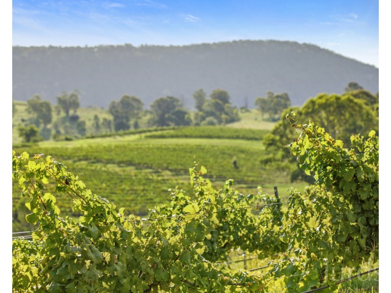 593 Mount View Road, Mount View NSW 2325