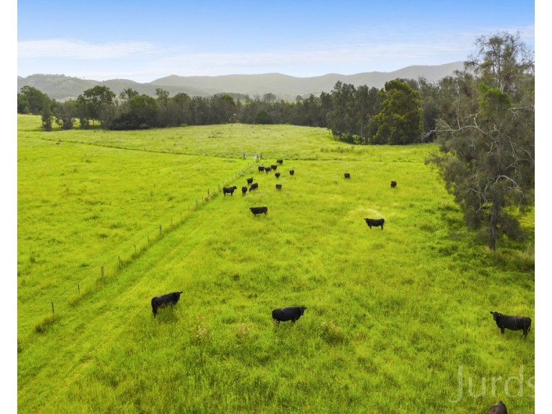 402 Oakey Creek Road, Pokolbin NSW 2320