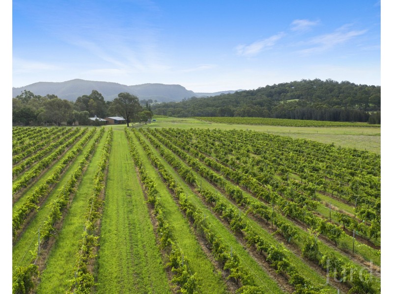536 De Beyer’s Road, Pokolbin NSW 2320