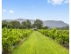 536 De Beyer’s Road, Pokolbin NSW 2320