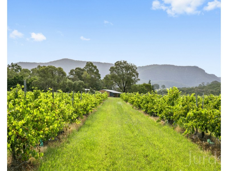 536 De Beyer’s Road, Pokolbin NSW 2320