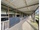 105 Windermere Road, Lochinvar NSW 2321