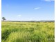 105 Windermere Road, Lochinvar NSW 2321