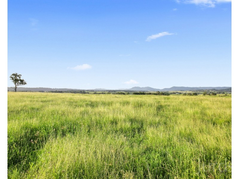 105 Windermere Road, Lochinvar NSW 2321