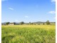 105 Windermere Road, Lochinvar NSW 2321