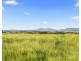 105 Windermere Road, Lochinvar NSW 2321