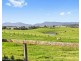105 Windermere Road, Lochinvar NSW 2321