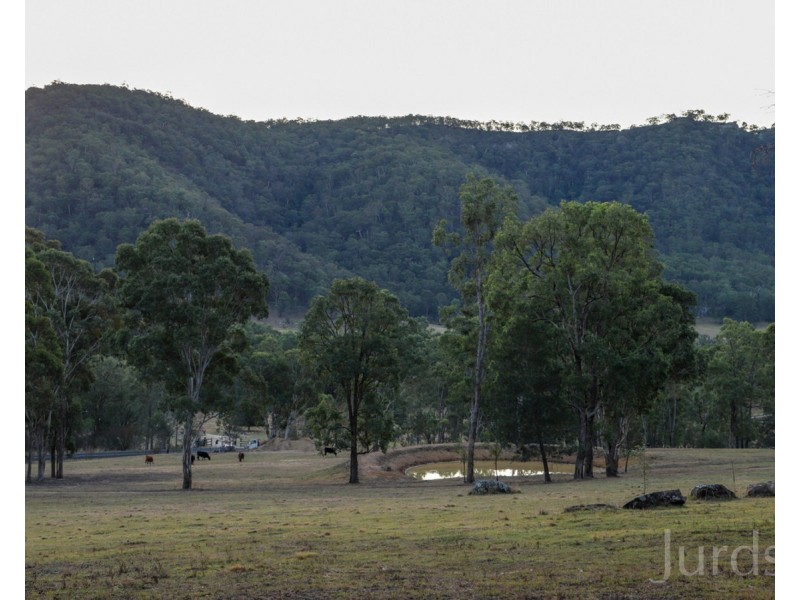 1087 Wollombi Road, Broke NSW 2330