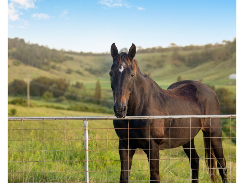 712 Luskintyre Road, Luskintyre NSW 2321