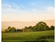 60 Talga Road, Lovedale NSW 2325