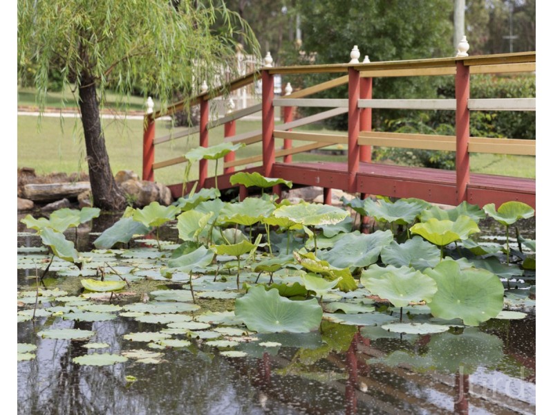 1 Hanwood Road, North Rothbury NSW 2335