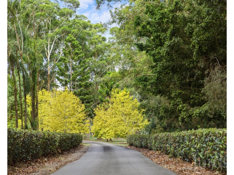 6 Elouera Close, Brandy Hill NSW 2324