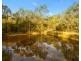 22 Grey Gum Drive, Weston NSW 2326