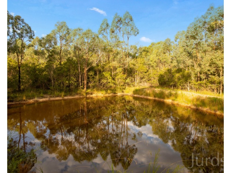 22 Grey Gum Drive, Weston NSW 2326